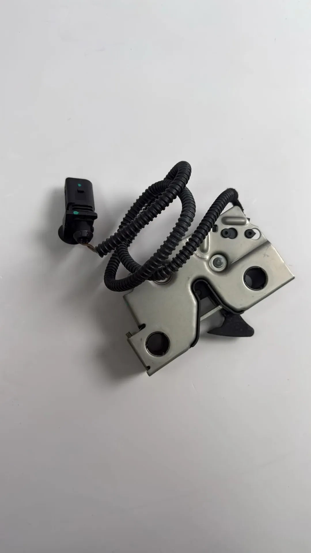 [L 12D 823 509] Bravë e kofanos