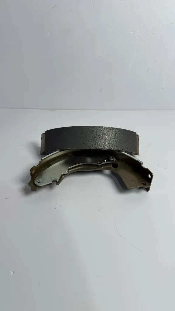 Pllaka frenash pasem