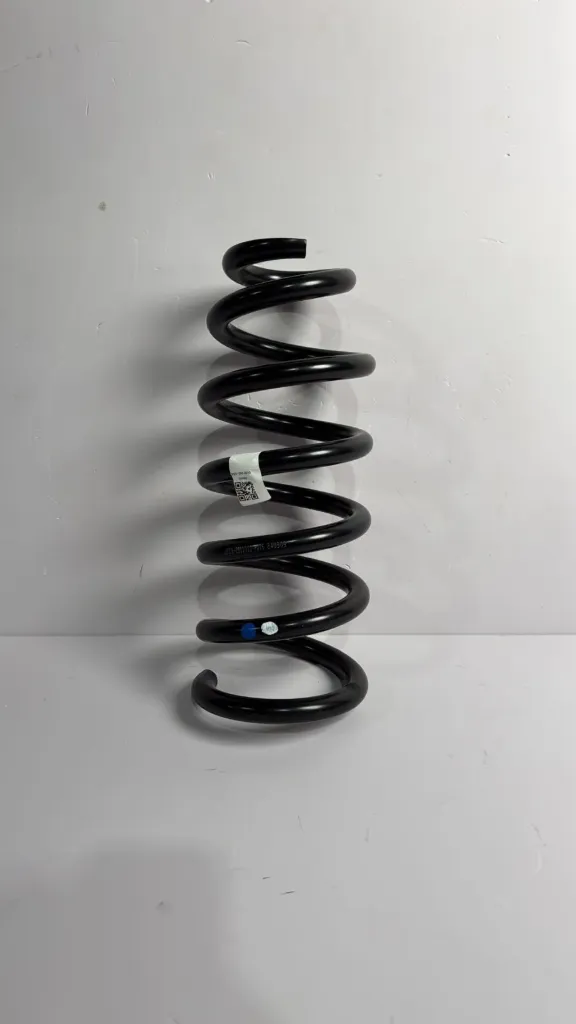 Suste spirale pasem / Rear coil springs