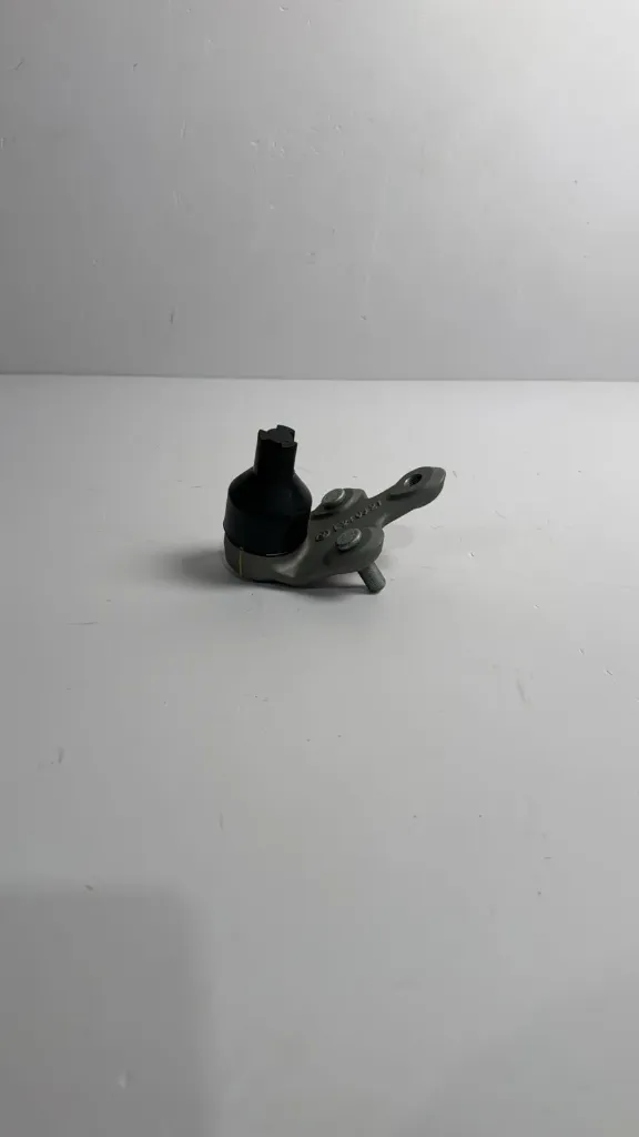 Koke zbare para majtas