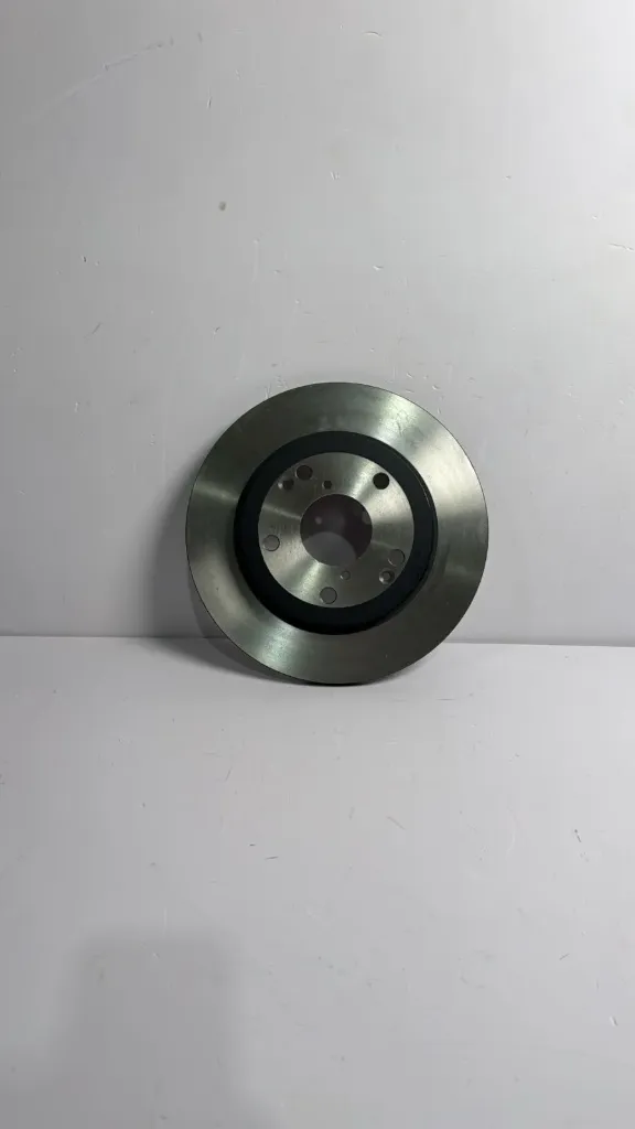 Disk frenash mbrapa / Rear brake disc