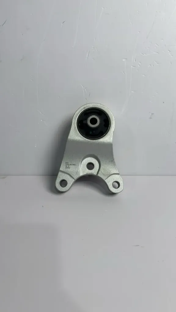 Mbajtese suspensioni majtas e grupit motorik